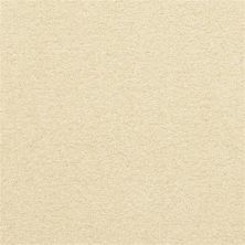 Masland Patriot Simplify 9588-130