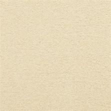 Masland Patriot Cake Batter 9588-147