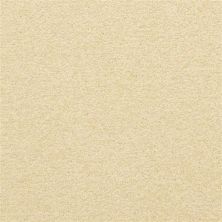 Masland Patriot Downtime 9588-181