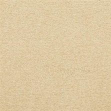 Masland Patriot Leisure 9588-226