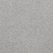 Masland Patriot Prism 9588-640