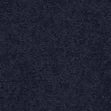 Masland Patriot Colonial 9588-667