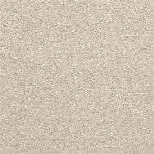 Masland Patriot Iceberg 9588-889