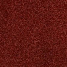 Masland Patriot Vibrant 9588-945