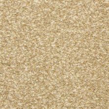 Masland Staccato Tempo 9591-247