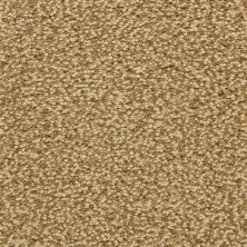 Masland Staccato Allegro 9591-372