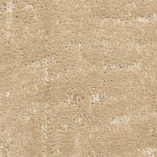 Masland Cedarbrook Montalvo 9597-318