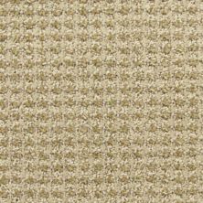 Masland Alpha Volts 9599-136