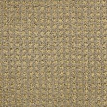 Masland Alpha Ionic 9599-335