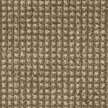 Masland Alpha Neuron 9599-734