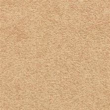 Masland Knockout Bold Bronze 9615-326