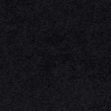 Masland Knockout After Midnight 9615-901