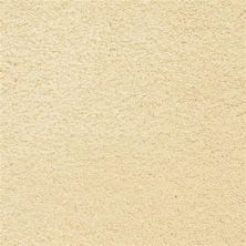 Masland Ravishing Stunning 9625-107