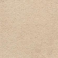 Masland Ravishing Pretty 9625-118