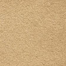 Masland Ravishing Charming 9625-209