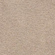 Masland Ravishing Rapturous 9625-224