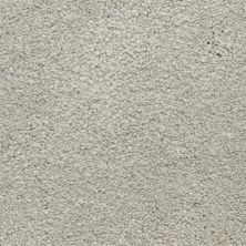 Masland Ravishing Clever 9625-532