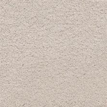 Masland Ravishing Classy 9625-827