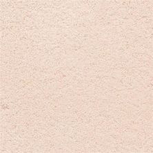 Masland Ravishing Dainty 9625-941