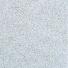 Masland Delray Crest 9628-11