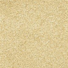 Masland Delray Sunset 9628-444