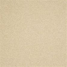 Masland Harbor Town Boutique 9635-220