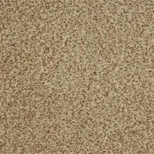 Masland Harbor Town Festival 9635-330