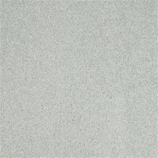 Masland Harbor Town Shimmer 9635-519