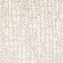 Masland Modern Mesh Pearl 9644-131