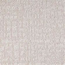 Masland Modern Mesh Smokey Quartz 9644-237