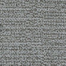 Masland Nueva Vista Carbon 9647-830