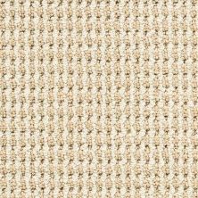 Masland Bandala Jazzed Seagrass 9648-206