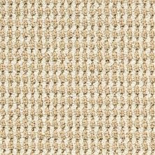 Masland Bandala Jazzed Beachwood 9648-207