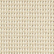 Masland Bandala Jazzed Hemp 9648-210