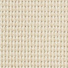 Masland Bandala Jazzed Cane 9648-402