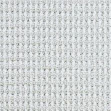 Masland Bandala Jazzed Frosted Glass 9648-821