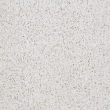 Masland Boca Raton Absolute 9650-47