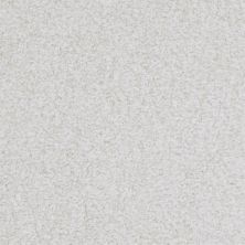 Masland Boca Raton Diligent 9650-115