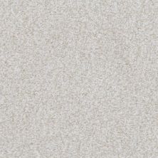 Masland Boca Raton Lasting Taupe 9650-124