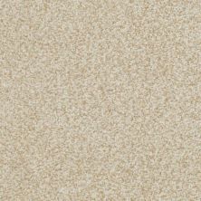 Masland Boca Raton Ageless 9650-213