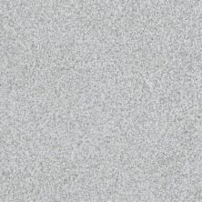 Masland Boca Raton Survival Grey 9650-828