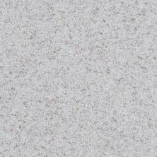 Masland Boca Raton Continual 9650-844