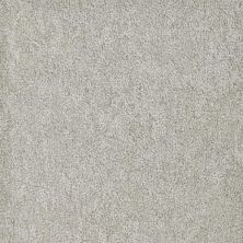 Masland Buena Vida Vision 9680-869