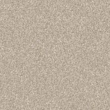 Masland Hunter Sandy 9691-761