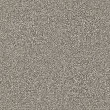 Masland Hunter Scooby 9691-869