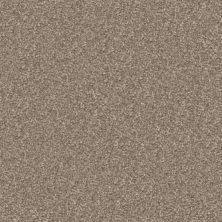 Masland Hunter Shiloh 9691-882