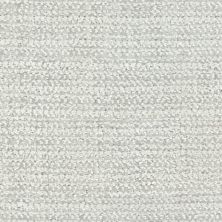 Masland Beguiling Chic Grey 9714-929 Masland Beguiling Chic Grey 9714-929