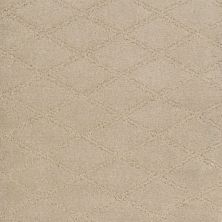 Fabrica Absolute in Top Notch 334AB-887AB