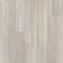 Dixie Home Trucor® Boardwalk in Asbury Ash P1046-D2904