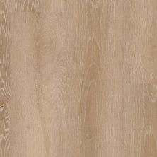 Trucor Alpha Collection Barley Oak P1028-D8005